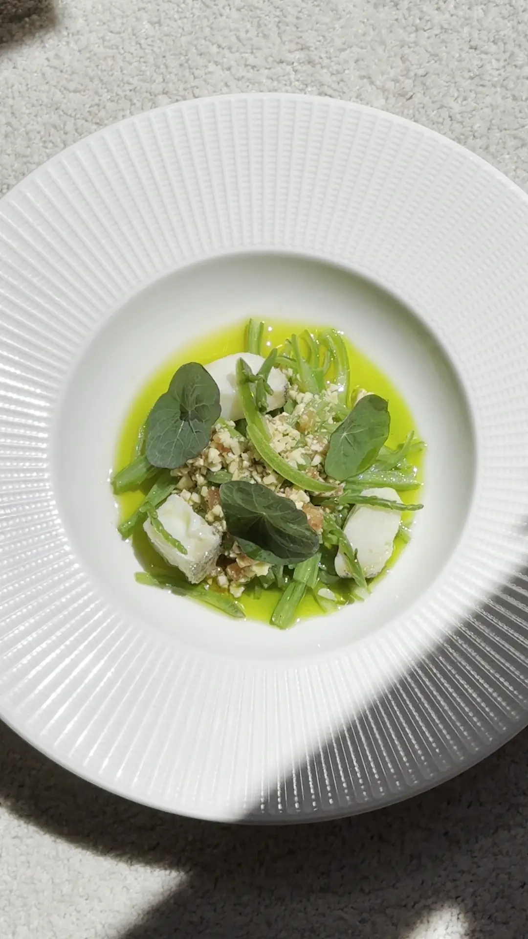 A leafy green dish with shaved cheese on a white ridged plate.