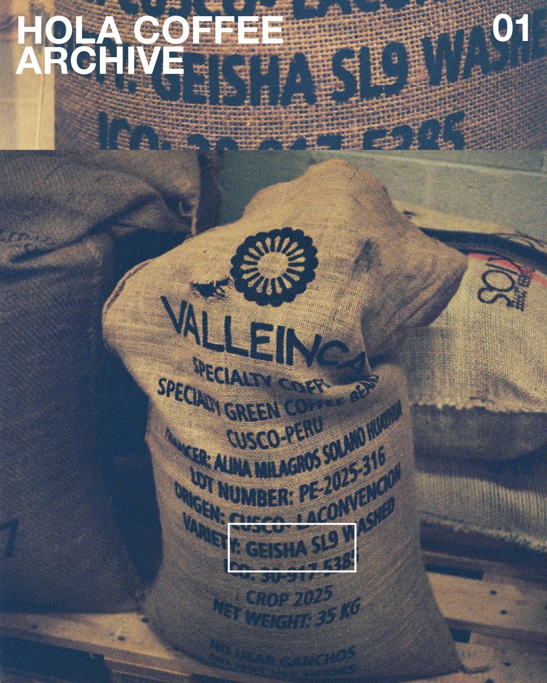 A nosotros nos gusta por ser un café floral, luminoso y expresivo, con un perfil muy limpio de flores blancas y una acid