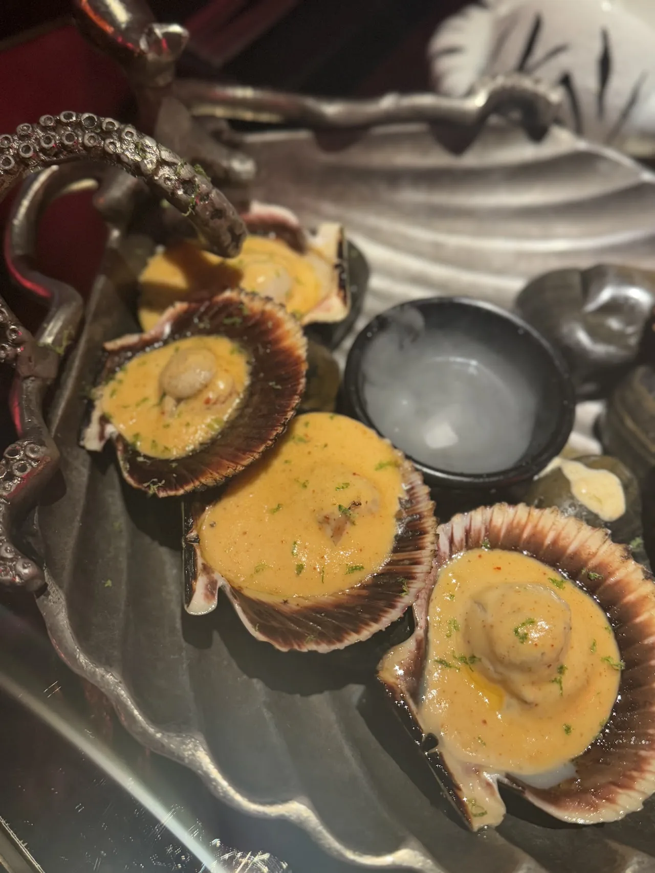 Grilled scallops in their shells topped with a creamy sauce