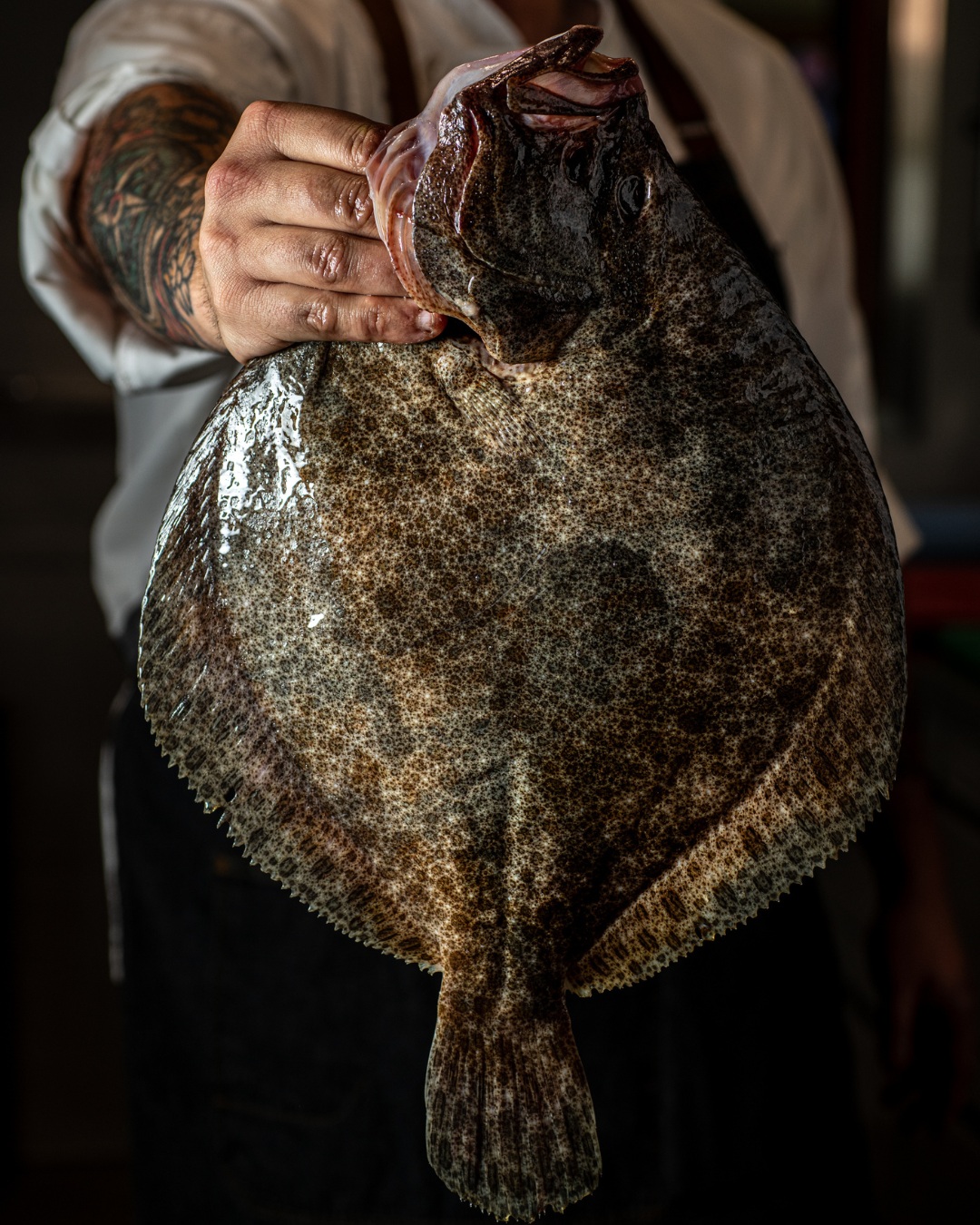 🐟¿Te lo vas a perder?
🌊Rodaballo al Josper con el mejor aderezo.
📲¡Reserva ya por nuestra web y pruébalo!
#Restaur