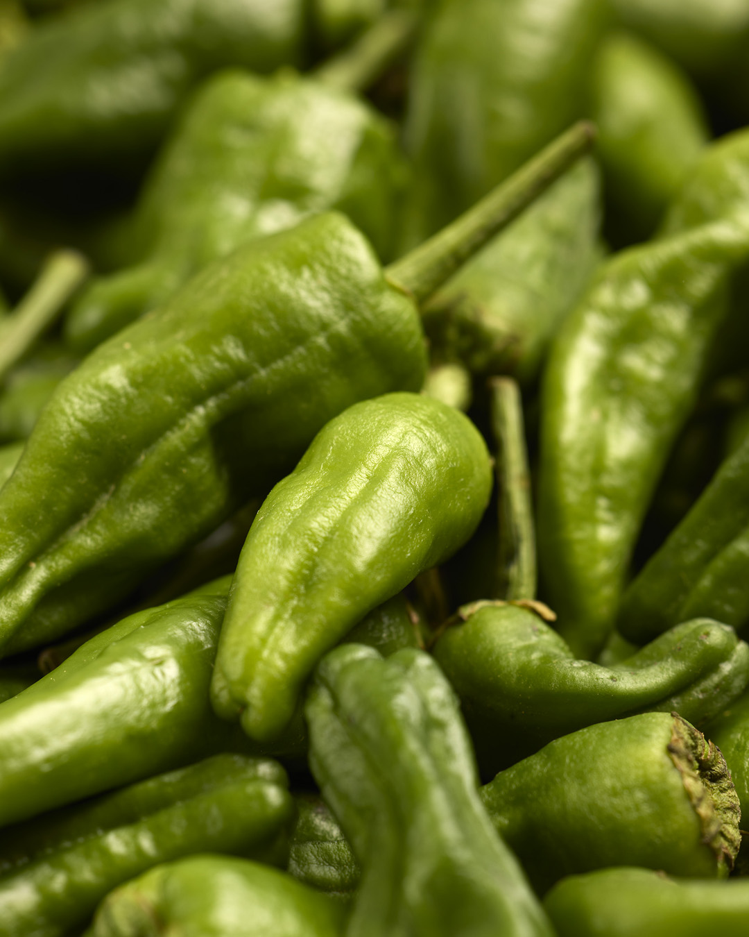 Con la llegada de la temporada, los pimientos de Padrón vuelven a ocupar su lugar en nuestra cocina.
Pequeños, verdes y