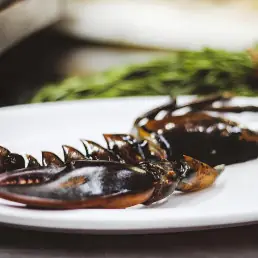 Cooked shellfish claws plated with a rosemary sprig
