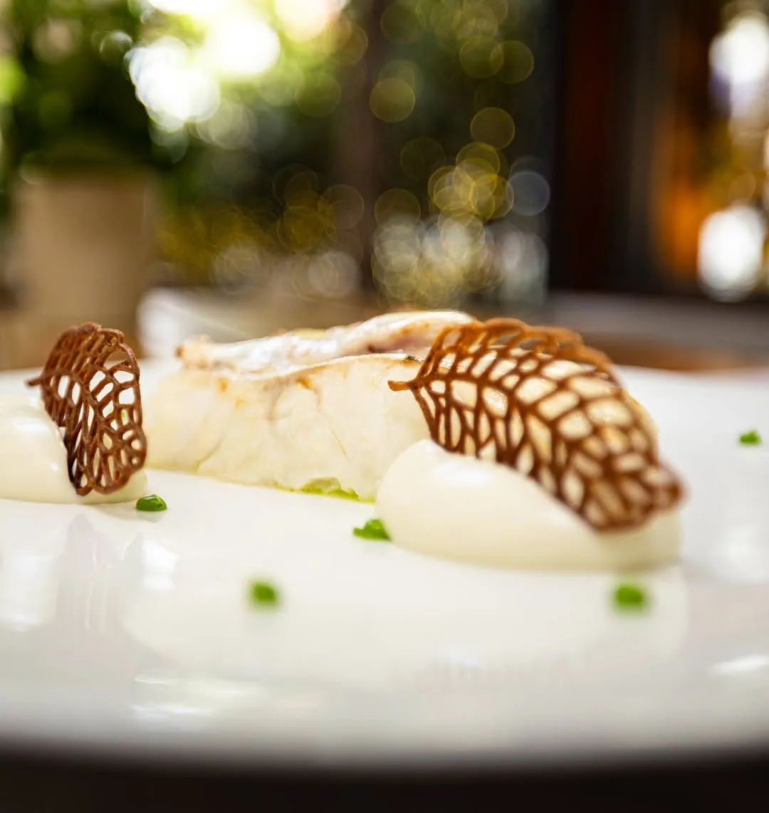 A white plate with a piece of white fish, two lattice crisps and small green dots
