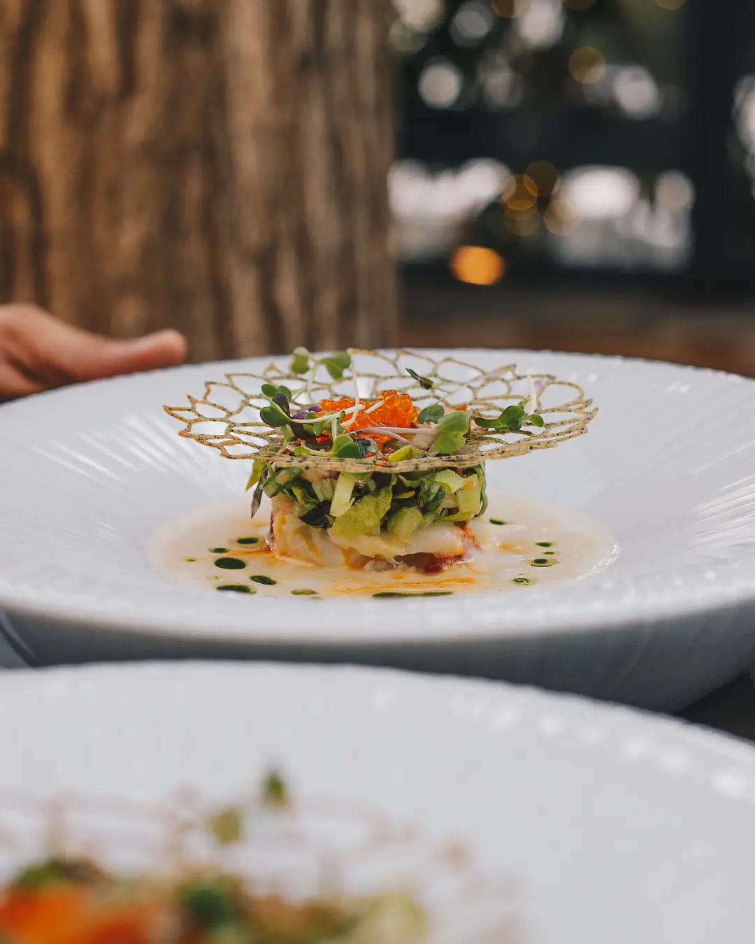 Plated seafood tartare topped with a lattice tuile, roe and microgreens over a light sauce