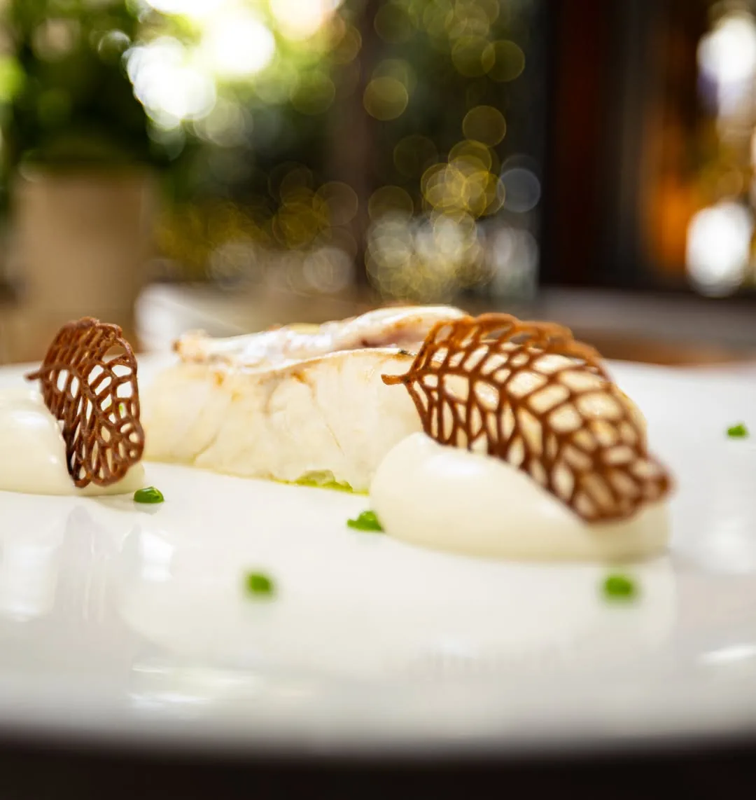 Plated white fish fillet with crispy lattice tuile garnish, white sauce and chive dots