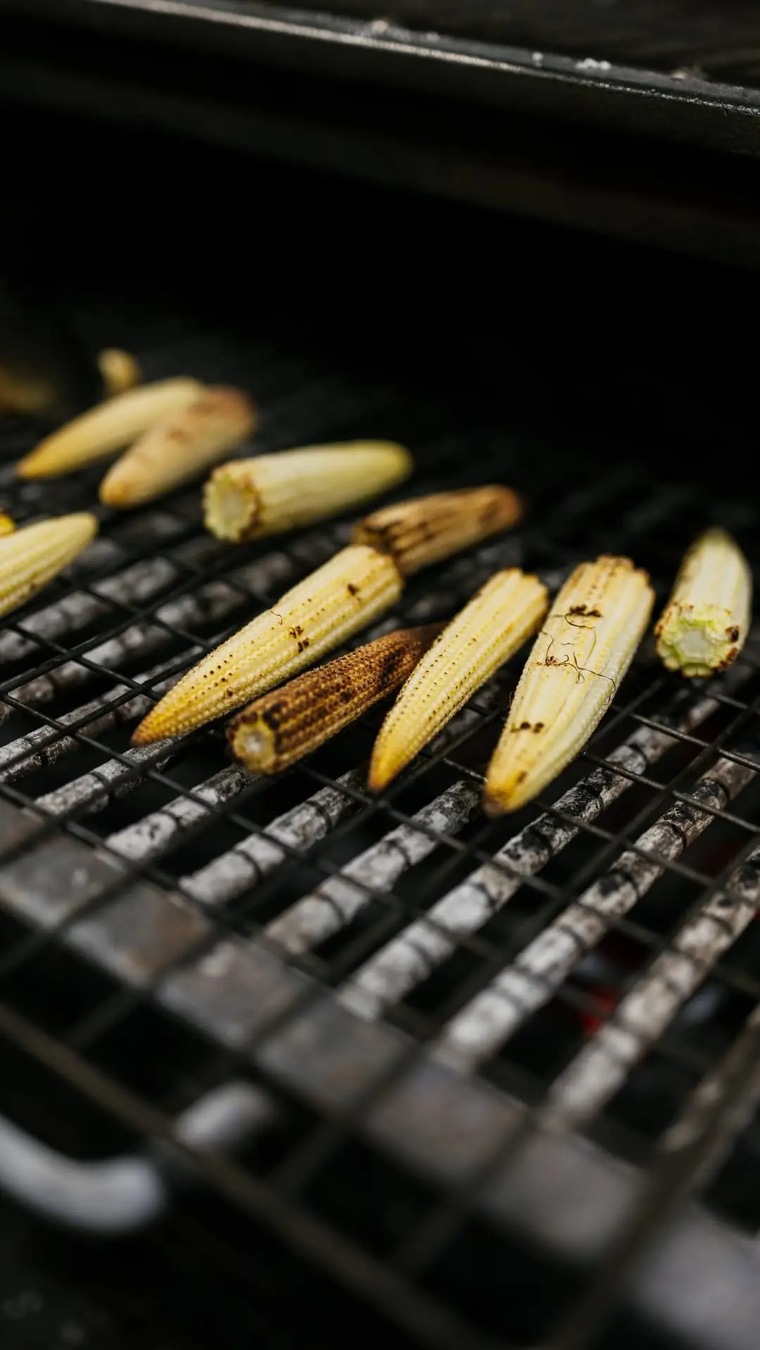 Baby corn cobs charring on a restaurant grill.
