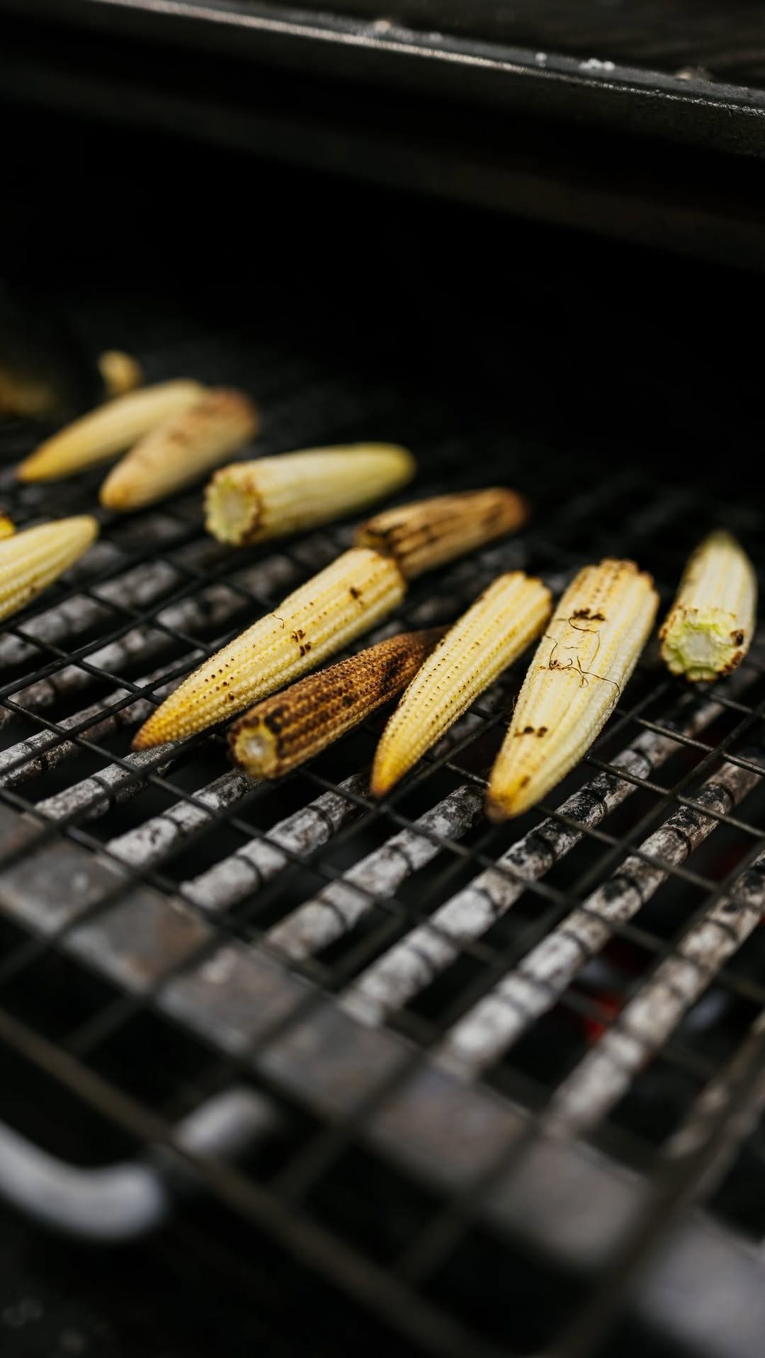 Nuestra versión de los clásicos elotitos callejeros🌽
Como nos cuenta @carlasarabia , en México son una de las botanas m