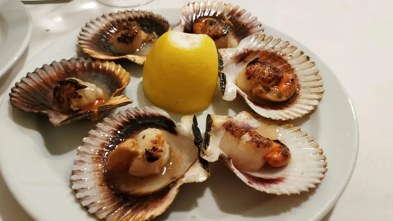 Grilled scallops in the shell arranged around a lemon wedge