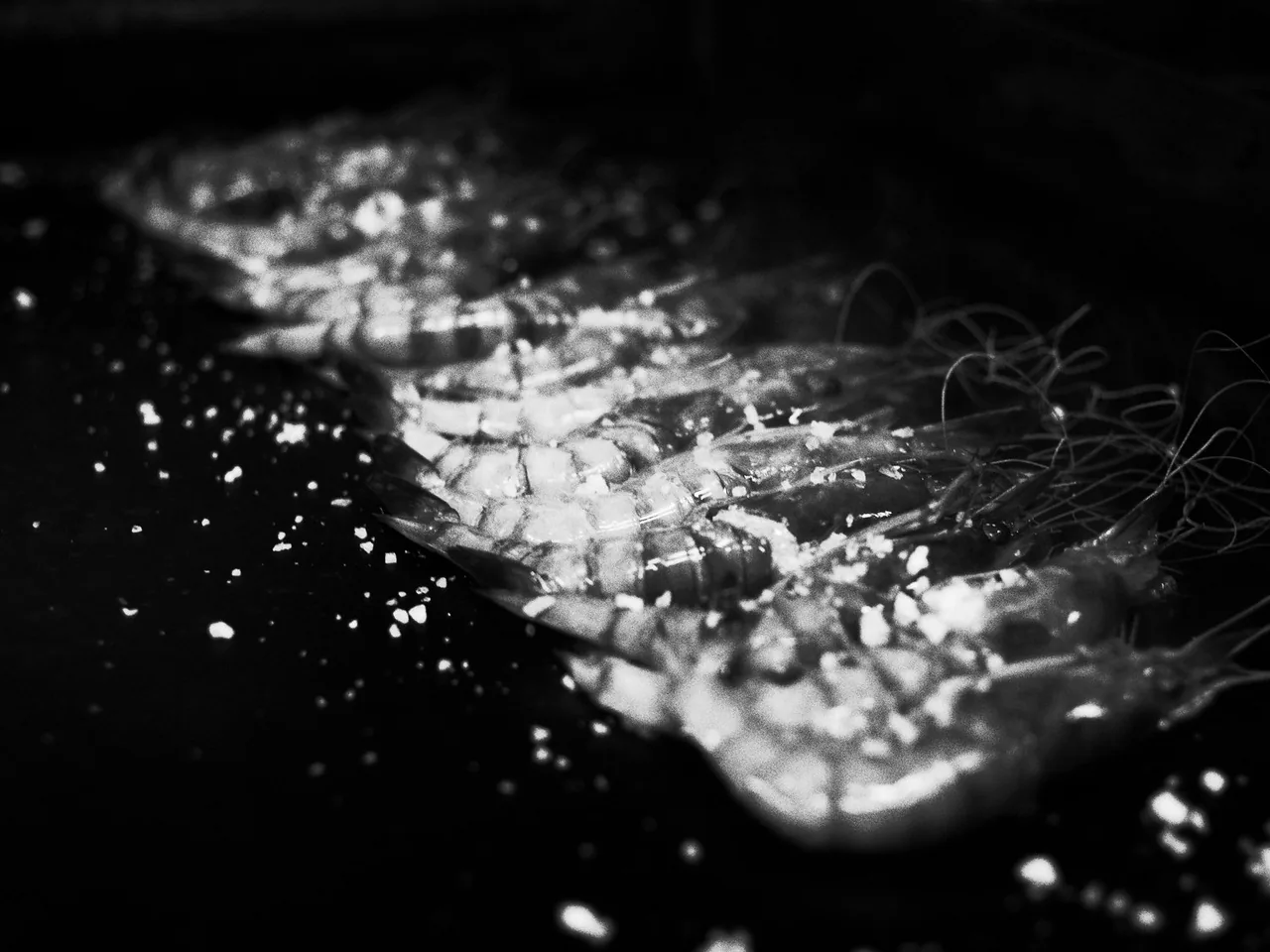 Black-and-white close-up of whole prawns cooking on a dark plancha, scattered with flakes of coarse salt