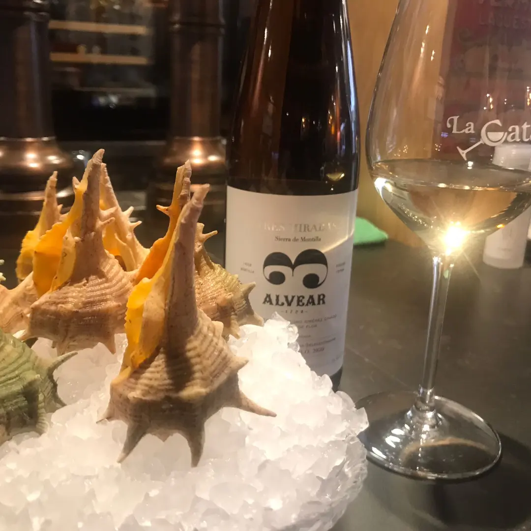 La Catapa te propone  Cañaillas de Isla Cristina y Nico sugiere “ Tres Miradas” un vino de Montilla-Morilla de bodegas A