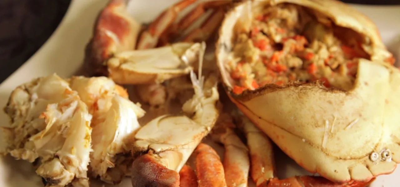 Crab meat served in the shell on a white plate