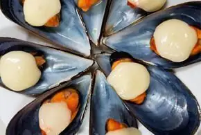 Steamed mussels on the half shell topped with a creamy sauce and a touch of paprika oil, arranged in a circle on a white plate at La Cova Fumada.