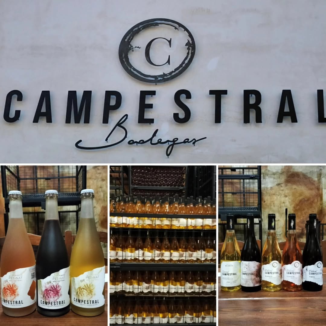 Jornada de visita a una bodega gaditana de nueva generación, @bodegas_campestral de la mano de uno de sus progenitores, 