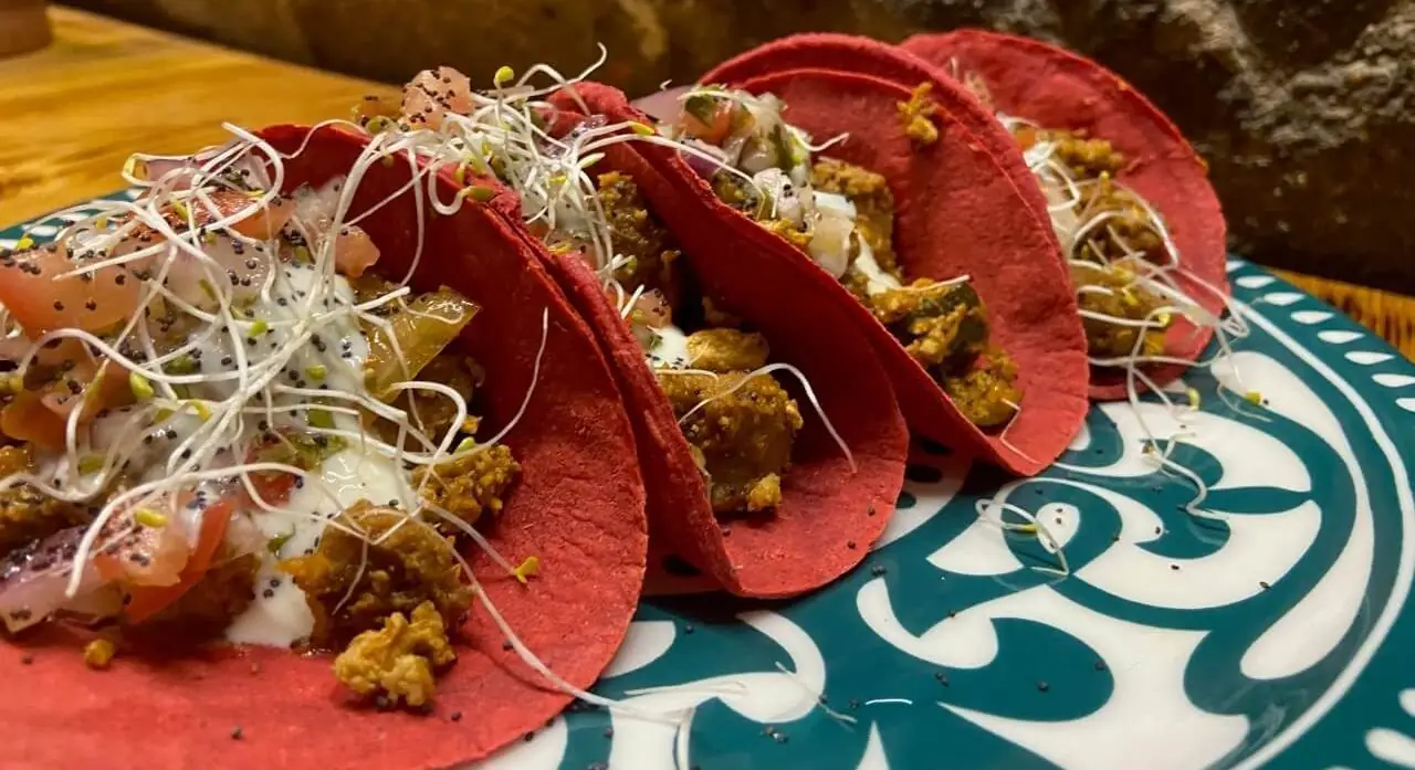 Three red-tortilla tacos filled with crumbled meat, tomato, cream and sprouts on a blue-and-white patterned plate