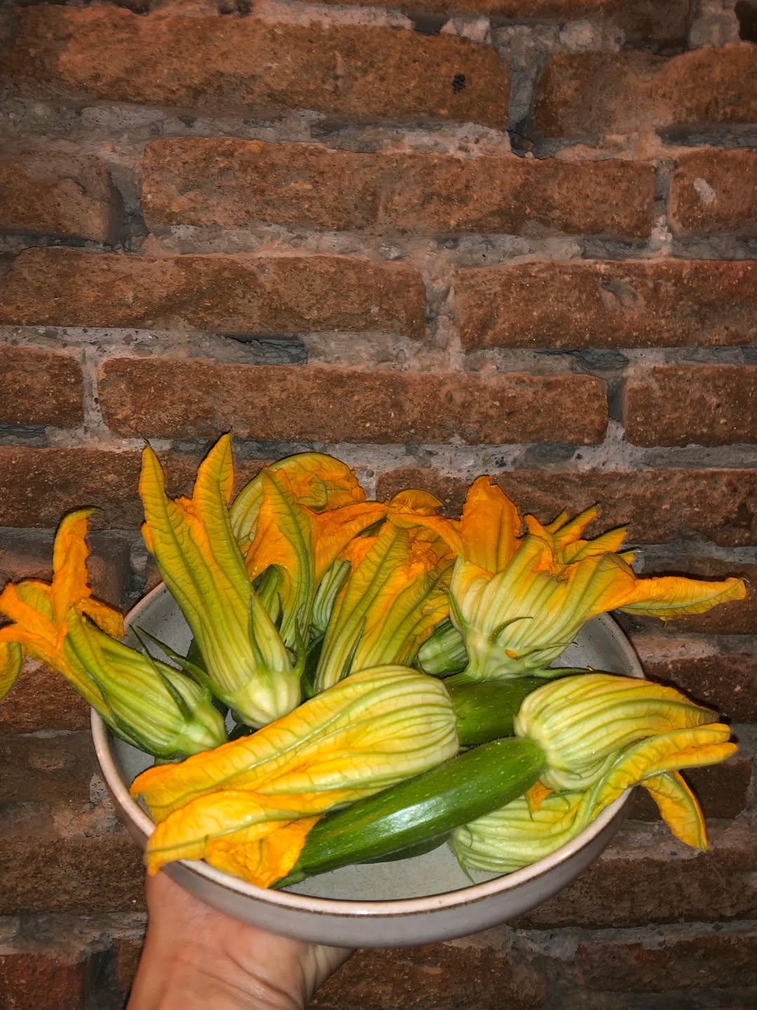 Flor de calabacín huerto familiar, pisto y yema! 😬