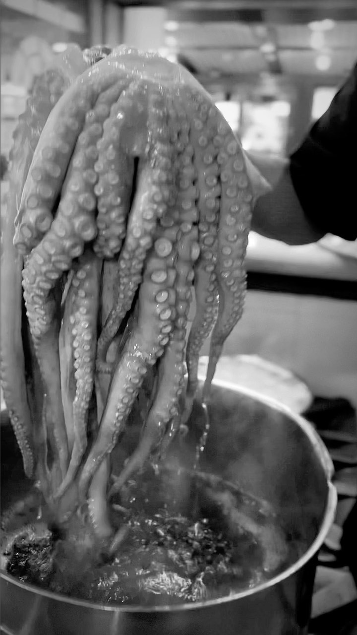Admiración, cariño y respeto por este extraordinario producto. 

Atajo a Galicia 🐙

📍Ave. Machupichu, 14 Madrid 

🛵 Encu