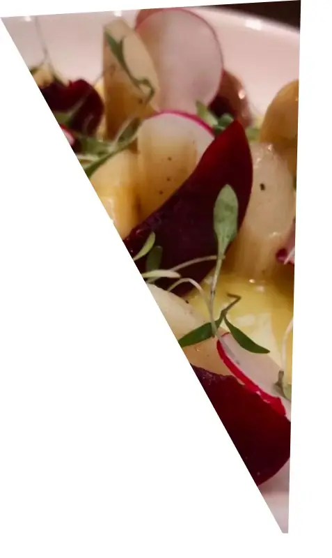 Plated dish with sliced beets, radish, and microgreens over a light sauce