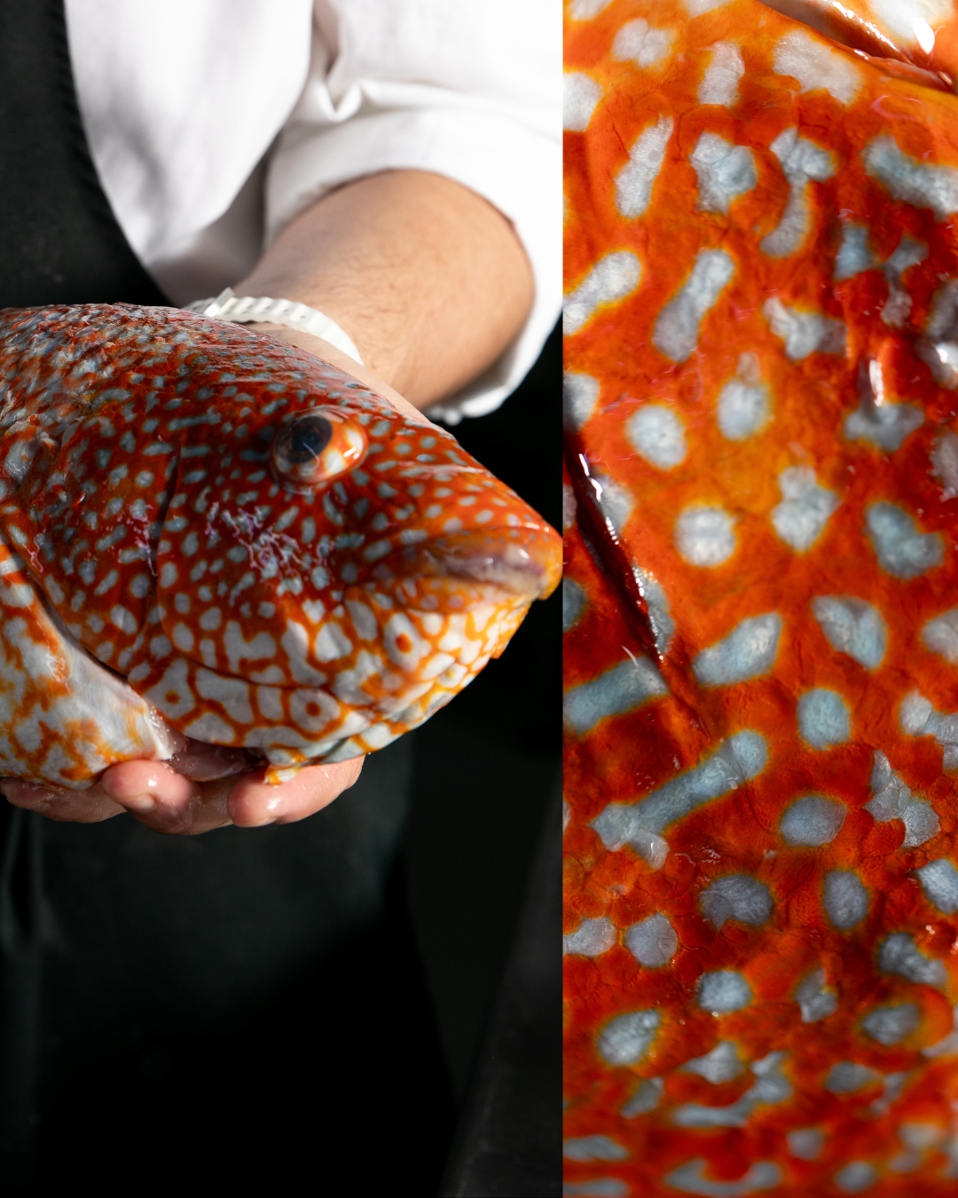 La diferencia empieza mucho antes de la cocina.
La selección y cuidado de la materia prima nos define.
Reserva tu mesa