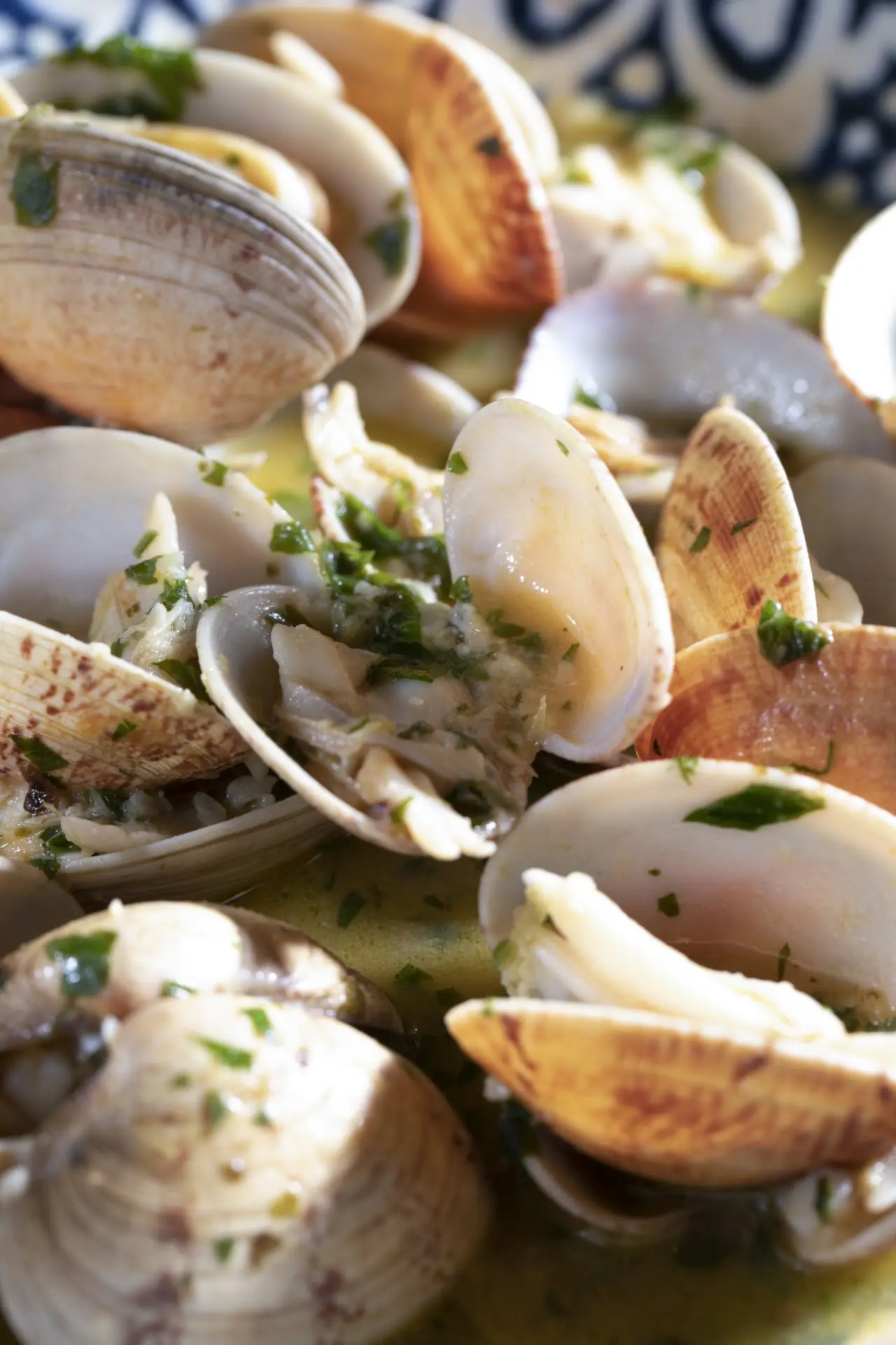 Clams in a garlic and herb sauce