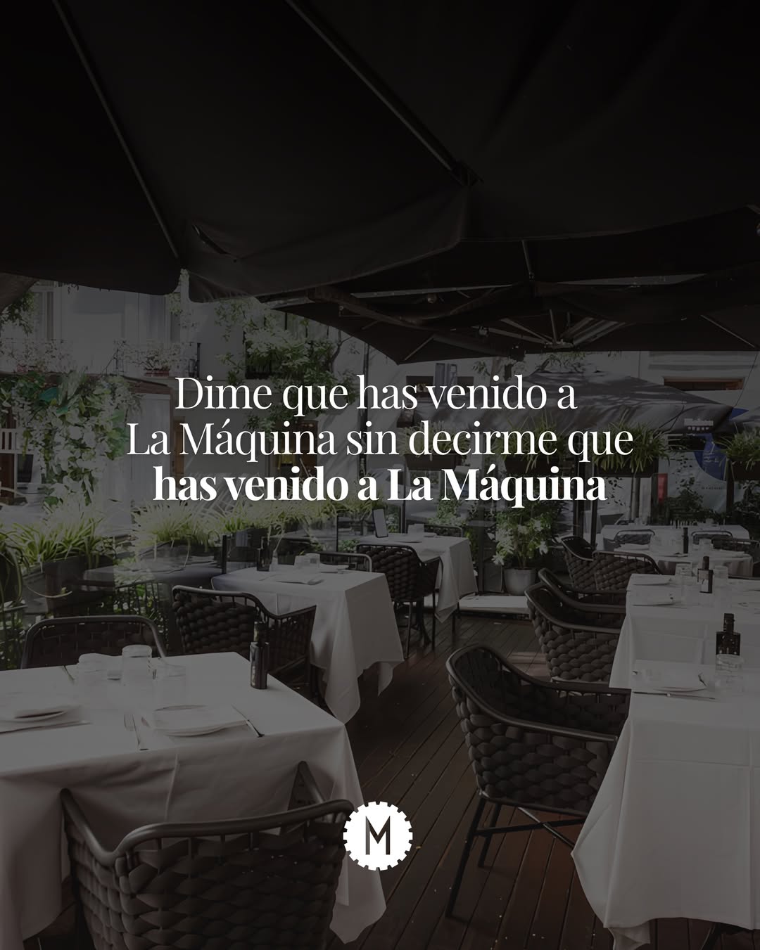 Dime que has venido a La Máquina sin decirme que has venido a La Máquina.
Los que lo saben, lo saben.
La Máquina.