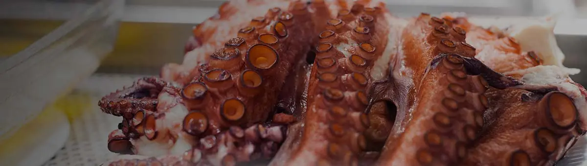 Sliced cooked octopus tentacles, close-up, on a market counter — La Medusa 73