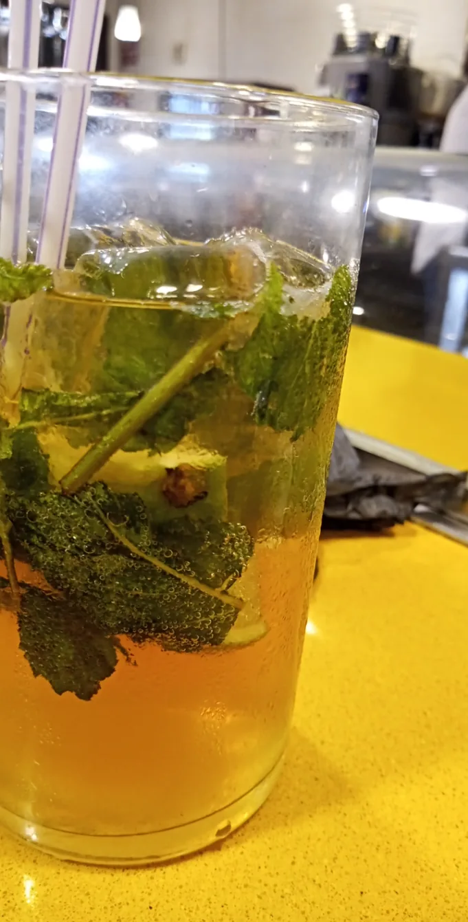 A mojito garnished with mint in a glass