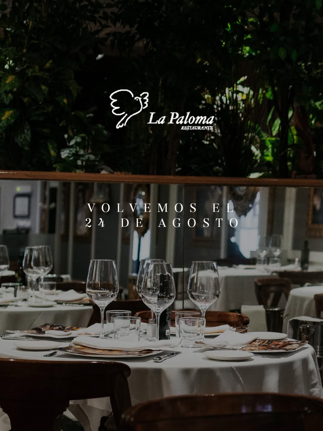 Gracias a todos por una temporada maravillosa.

Nos vamos a descansar unos días y nos vemos a la vuelta.

#LaPaloma #Mic