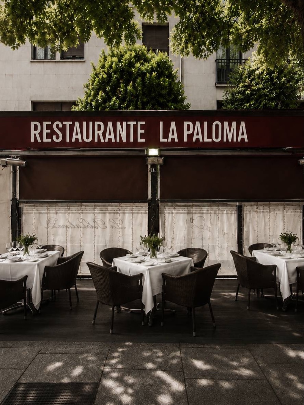 Cae la tarde en nuestra terraza🖤

Te esperamos en Jorge Juan, 39.

#LaPaloma #MichelinGuide #GuíaRepsol #CocinaVascoFran