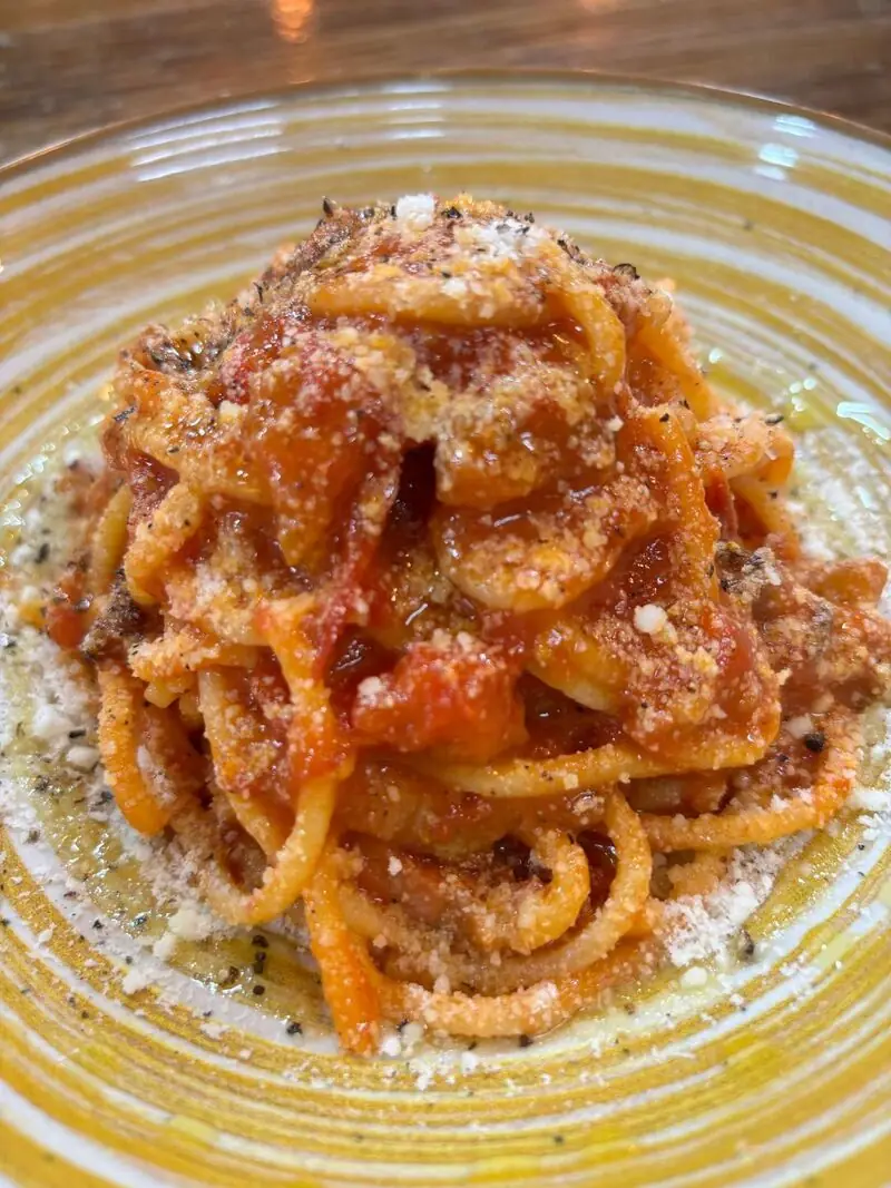 Mound of spaghetti in red tomato sauce with grated cheese and black pepper on a yellow-ringed plate