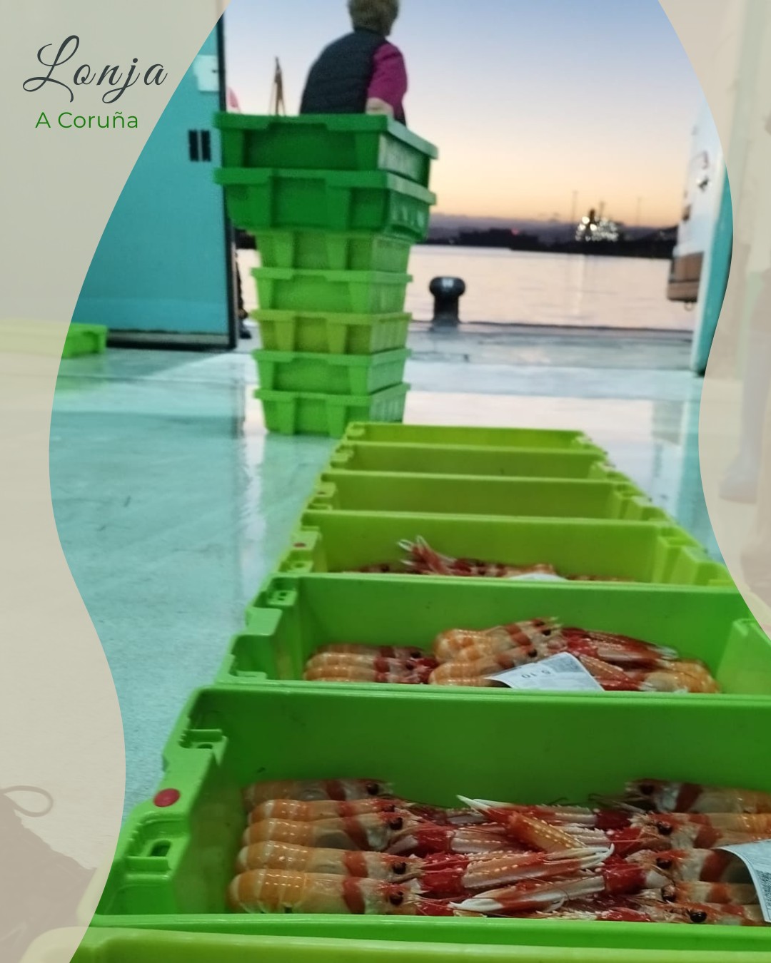 🌅Cada amanecer empieza en la @lonjadelacoruna
Allí nuestro experto👌🏻 selecciona el mejor pescado🐟 y marisco🦞🦐, recién