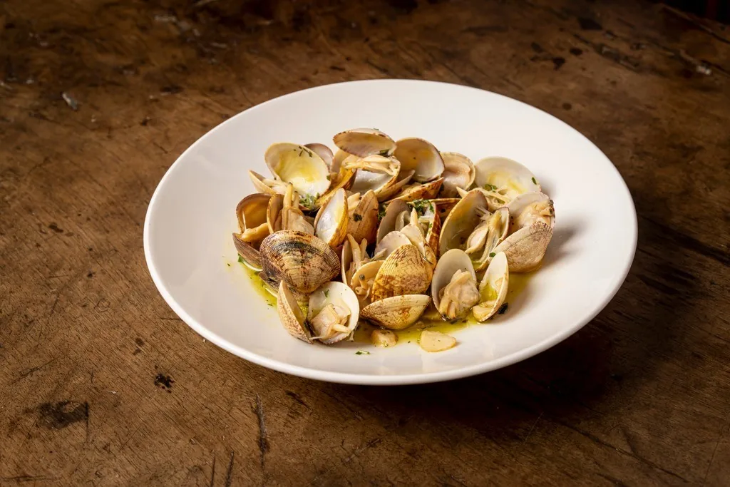 A white plate of clams in a light sauce on a dark wooden table