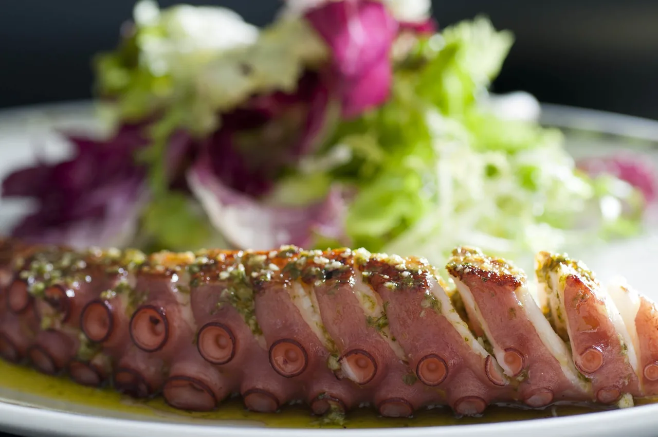 Sliced octopus with a pink and green garnish on a white plate