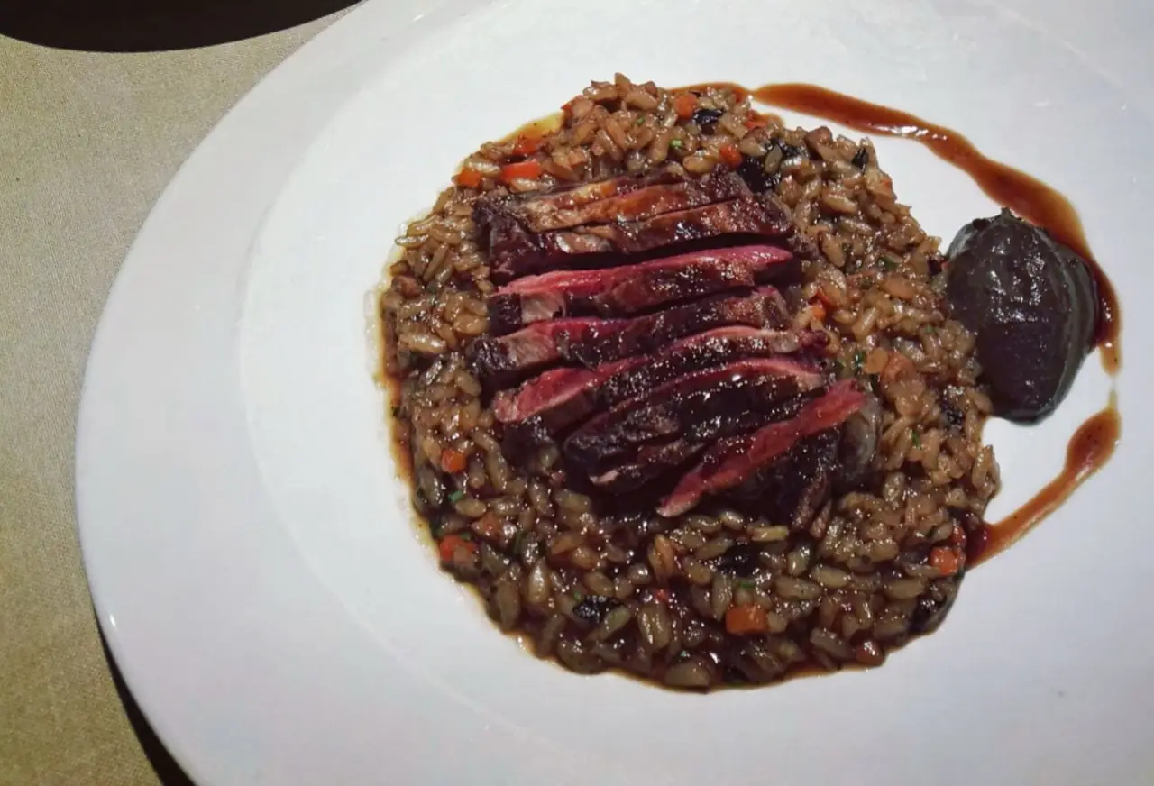Fanned slices of pink-cooked duck breast over a bed of savoury rice with diced vegetables and a glossy dark sauce on a white plate