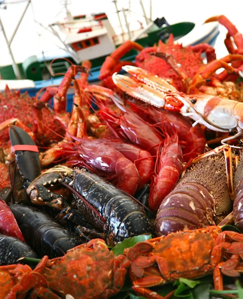Raw seafood display of crabs, spider crabs, lobsters and langoustines with a fishing boat in the background