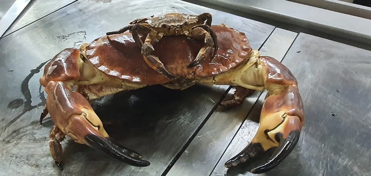 A whole cooked crab resting on a wooden table.