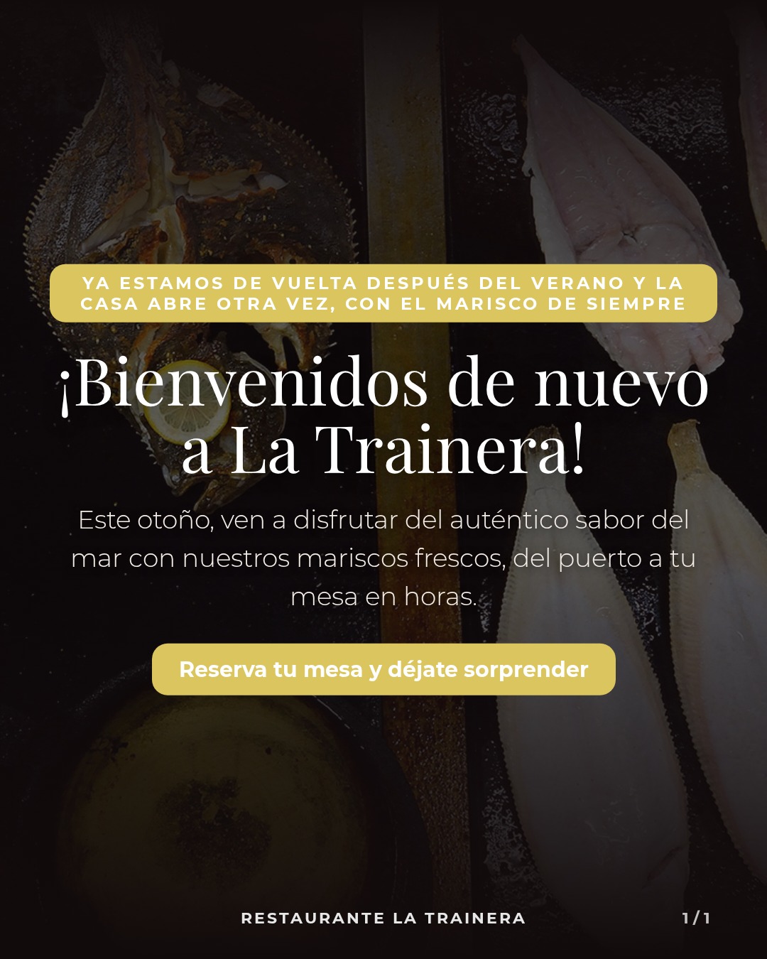 ¡Bienvenidos de nuevo a La Trainera!
Este otoño, ven a disfrutar del auténtico sabor del mar con nuestros mariscos fres