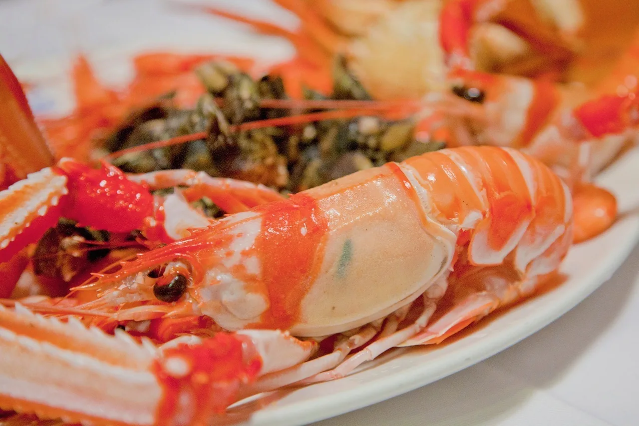 Langoustines and prawns on a white plate