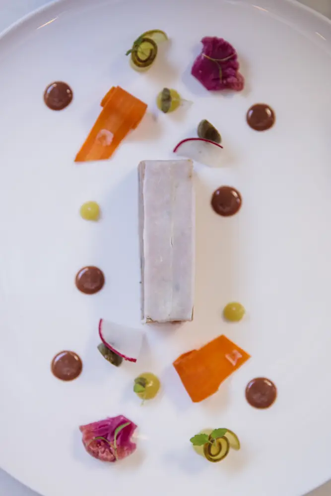 White plate with a rectangular terrine surrounded by dots of brown sauce, pickled carrot ribbons, radish and beetroot rosettes