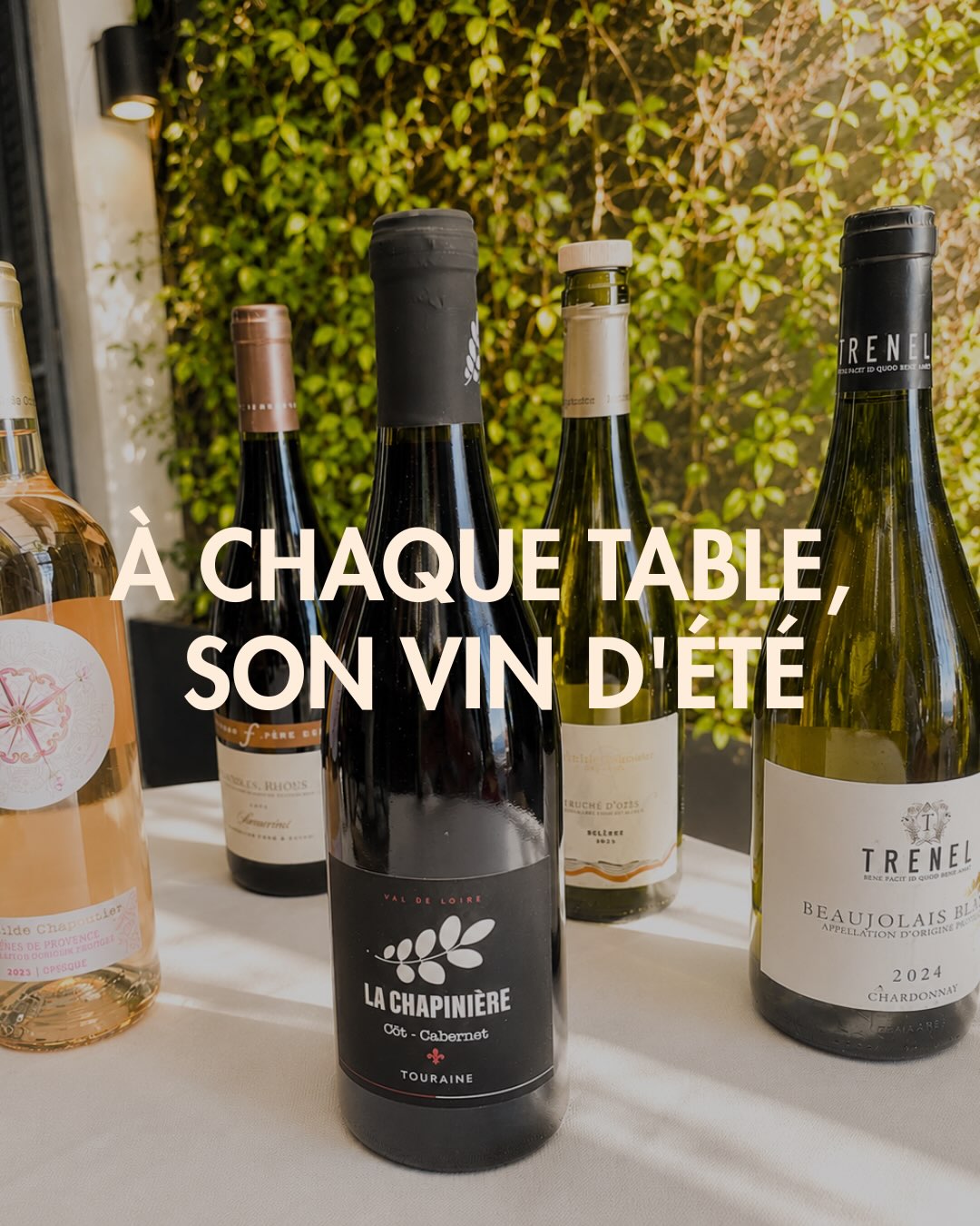 Hay brindis que saben mejor en verano☀️🍷
Durante las dos últimas semanas de julio, queremos invitarte a descubrir nuest
