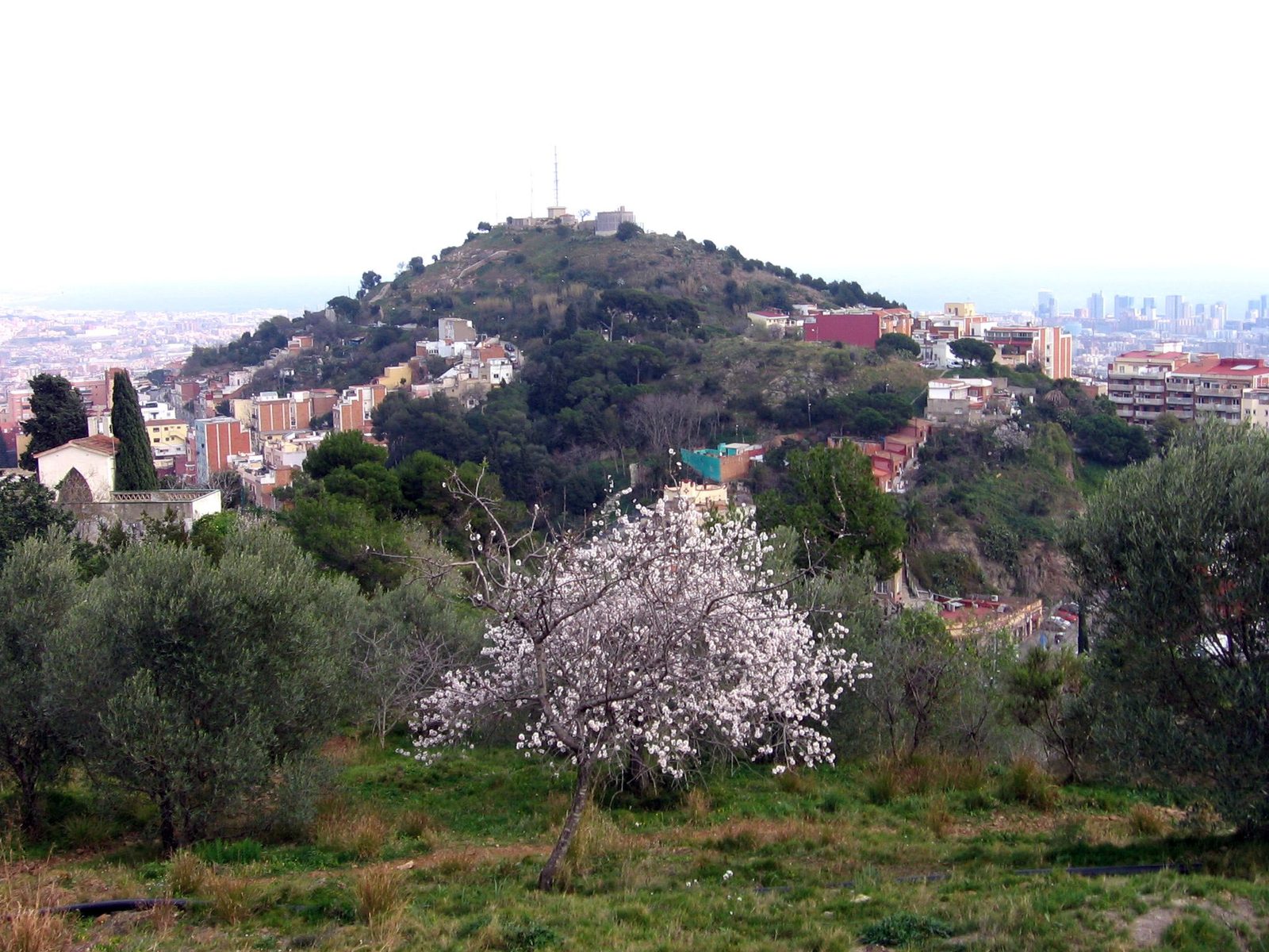 Bunkers del Carmel, viewpoint in Barcelona, Spain