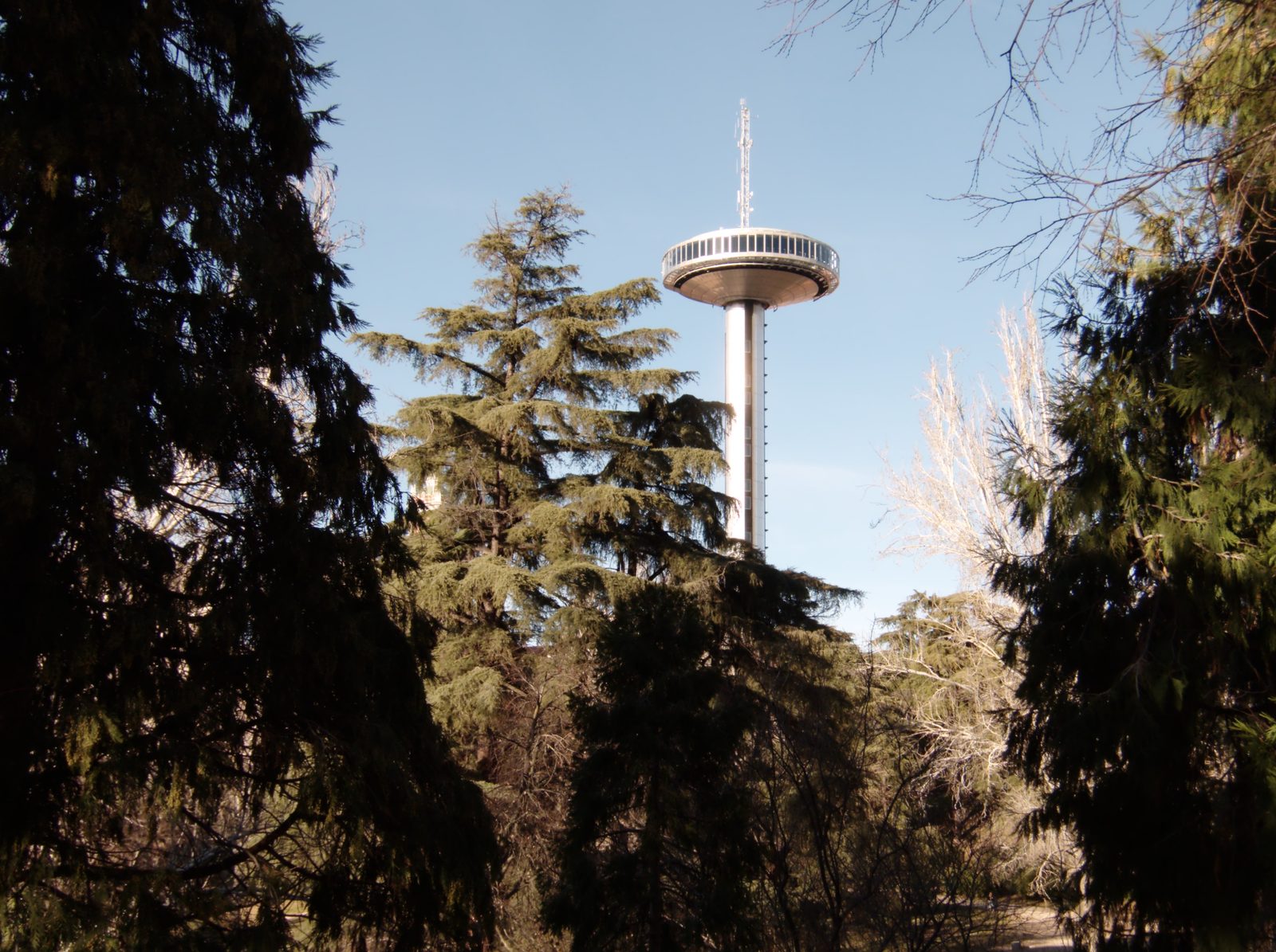 The Faro de Moncloa's saucer-shaped observation deck and antenna mast rising above a stand of pine and cedar trees