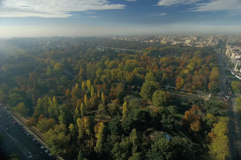 Aerial view over the dense tree canopy of Buen Retiro Park in autumn colors, with a pond and paths visible among the trees and city beyond