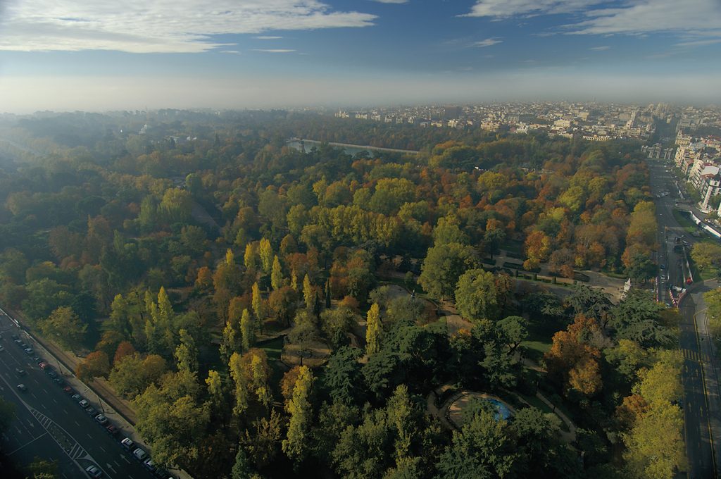 Aerial view over the dense tree canopy of Buen Retiro Park in autumn colors, with a pond and paths visible among the trees and city beyond
