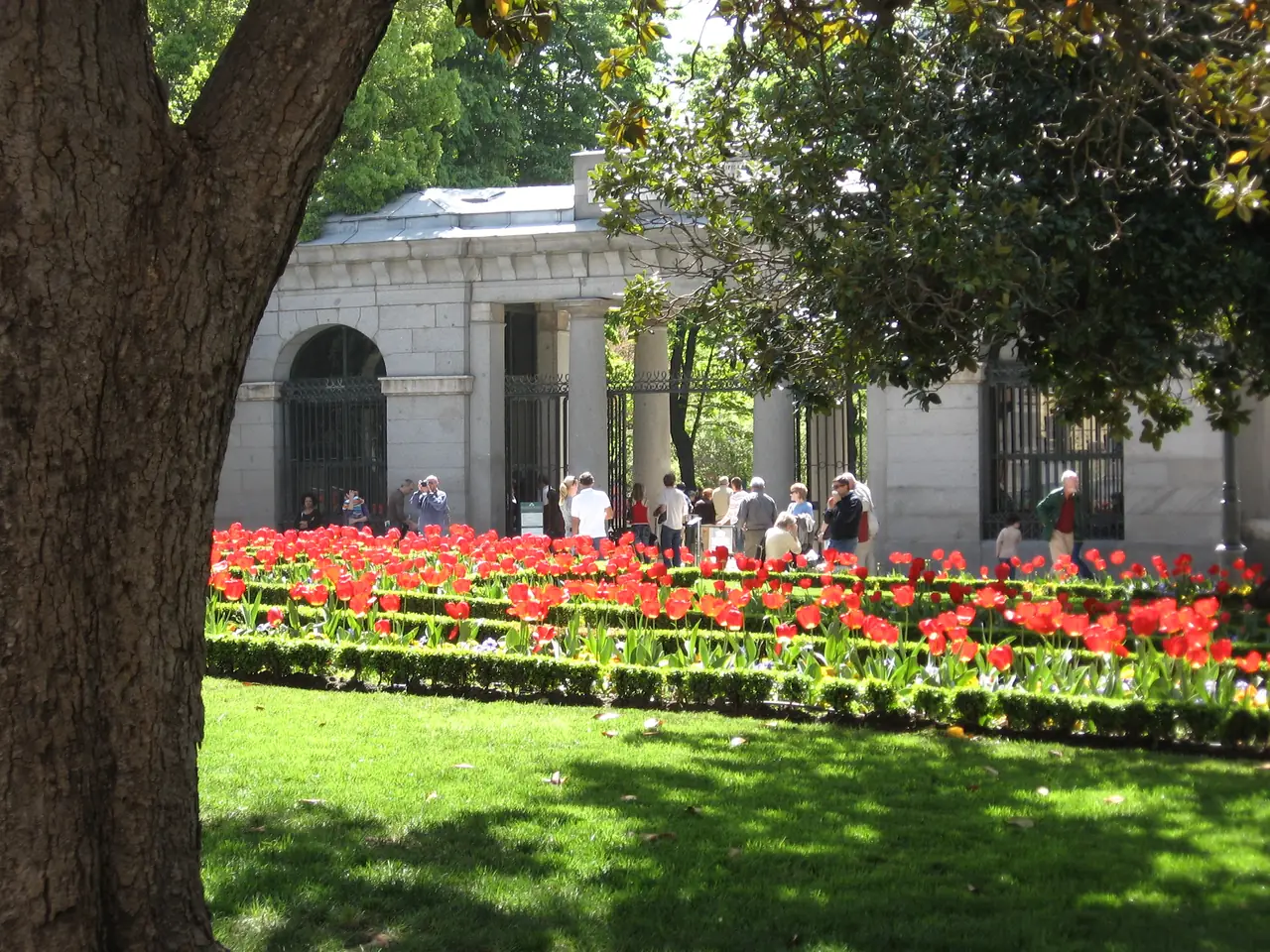 The stone Puerta de Murillo gateway of the Real Jardín Botánico seen past a bed of red tulips and a shading tree