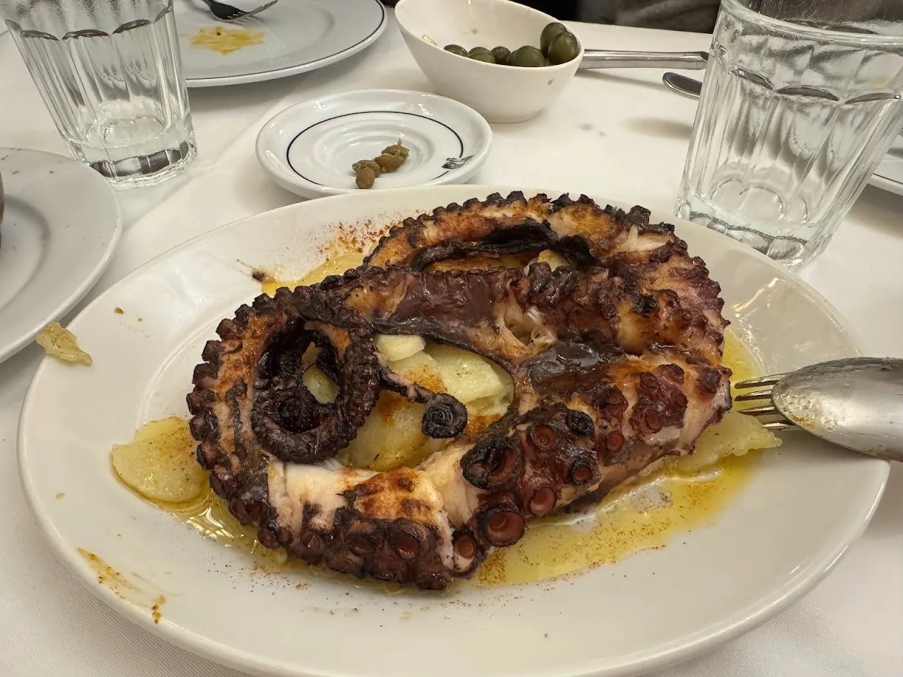 A grilled octopus tentacle on a white plate with olive oil