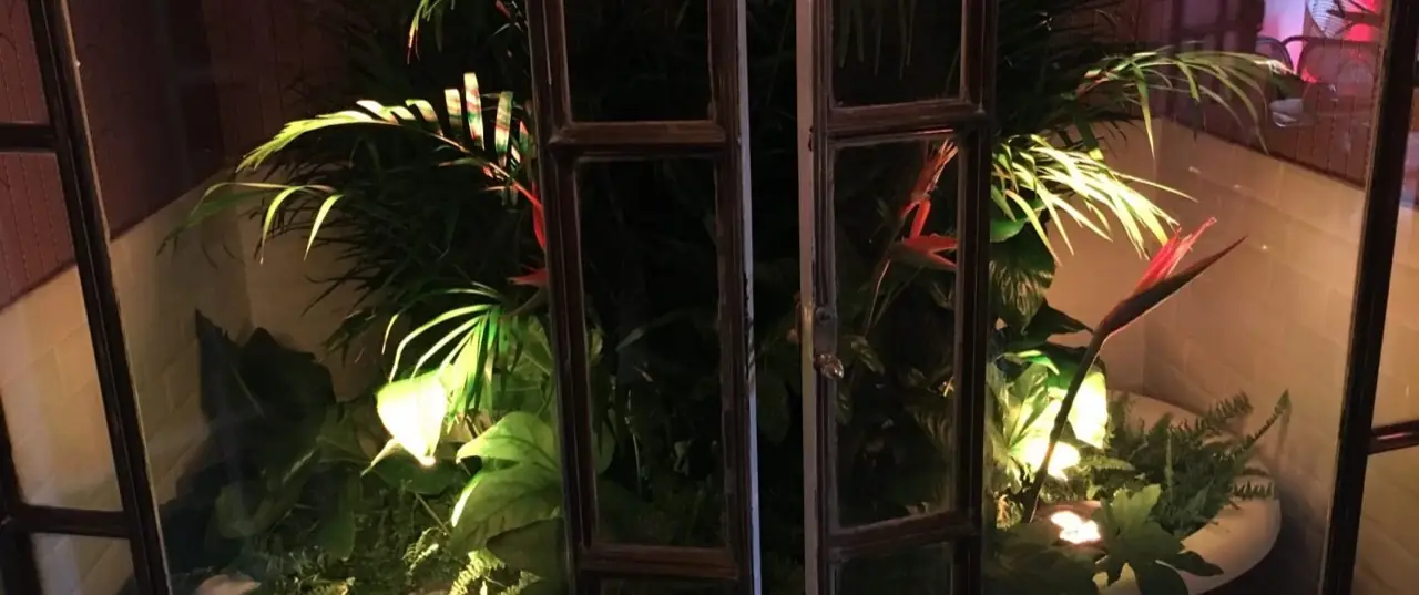 Illuminated tropical plant nook behind glass doors against tiled walls