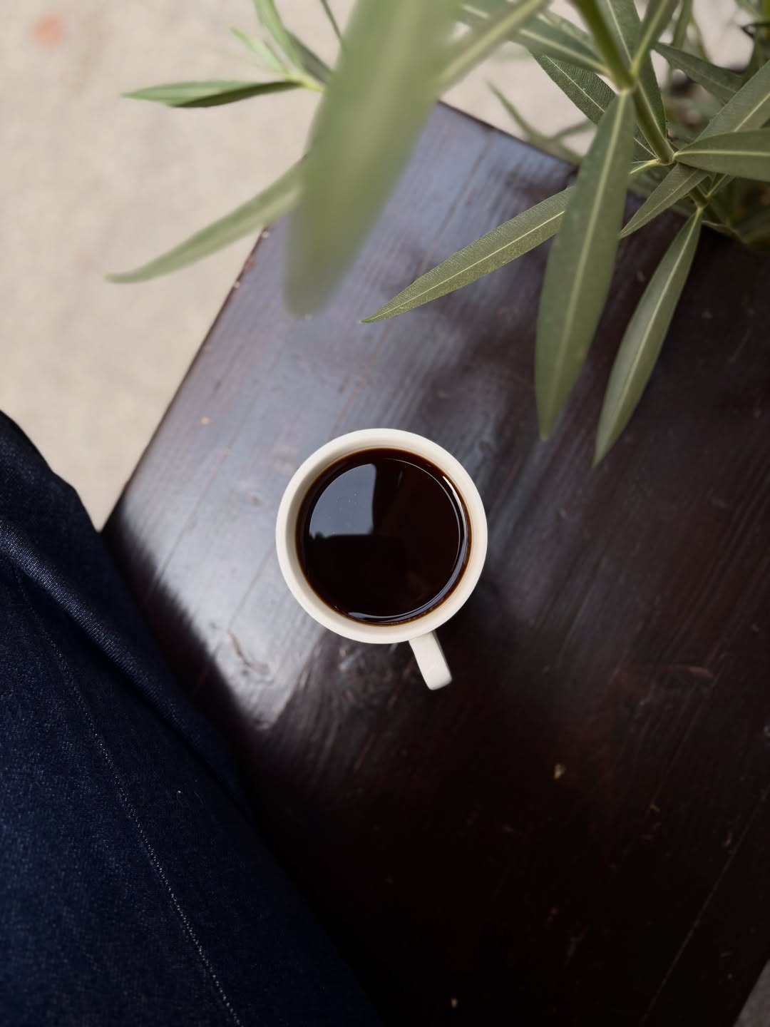 El aroma de la semana ✨

Batch brew: Etiopía Natural por @thefixcoffeeroasters 

Notas: miel | rosa | lichy | melocotón 