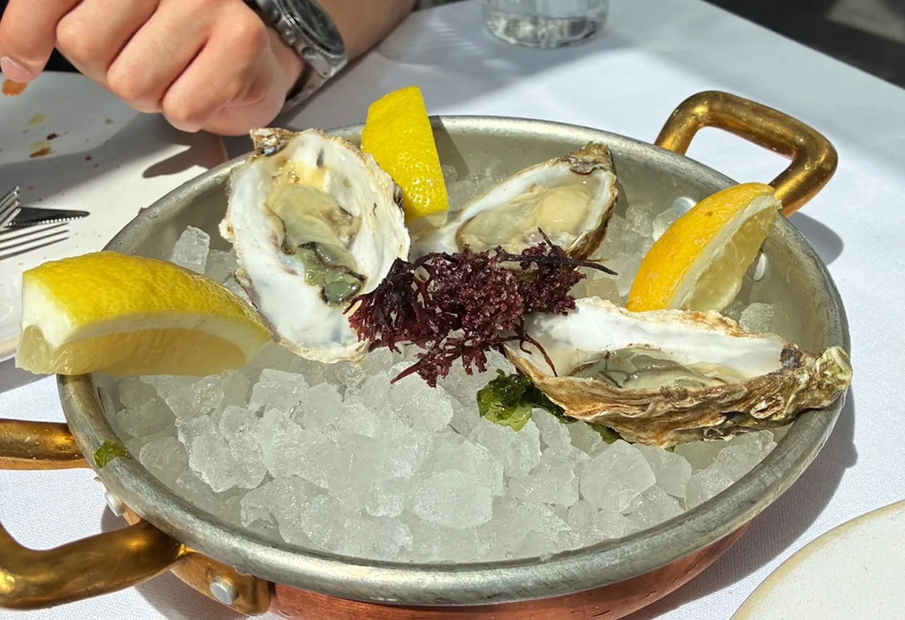 A platter of oysters on ice with lemon wedges