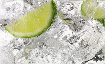 Close-up of a gin and tonic with ice cubes and lime wedges