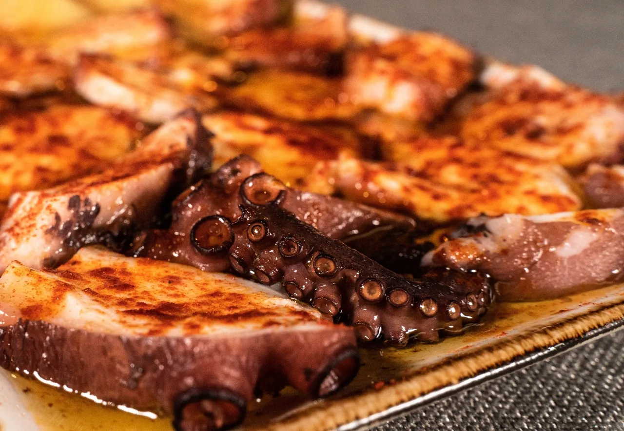 Close view of grilled octopus tentacles dusted with paprika